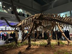 -自贡恐龙博物馆