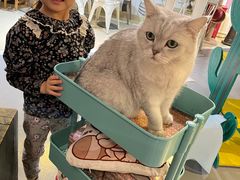 -小时光咖啡馆(开森度假森林店)