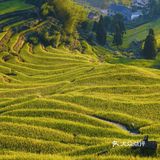 国庆假期云和梯田详细🔎攻略，附避开人流秘决🌄