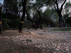 -元大都城垣遗址公园