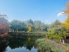 -长白岛森林公园