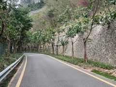 -小南山公园