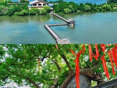 -溱湖国家湿地公园