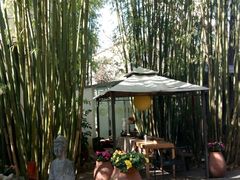 -新竹里馆·花园餐厅(兴苑路店)