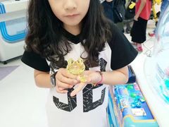 -玩具反斗城(海港城店)