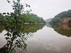 -广州市石门国家森林公园
