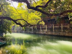 -小洲村