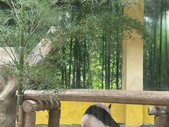-杭州野生动物世界
