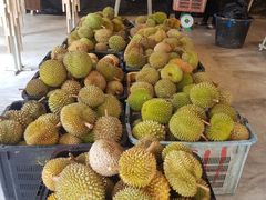 榴莲-都念榴莲·城市榴莲