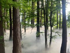 -东湖落雁景区