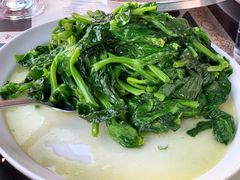 清炒豆苗-眉州东坡酒楼
