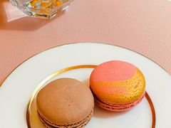 -视博茶点(美狮美高梅店)