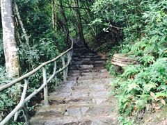 龙湾潭国家森林公园-龙湾潭国家森林公园