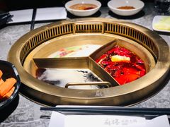 -麻路成都火锅(柏威年店)