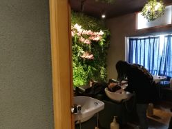 -藤野造型·专业烫染店