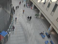 -首都医科大学附属北京天坛医院