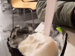 -麦当劳(曲阳店)