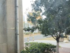 -洋湖国家湿地公园