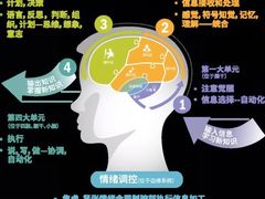 -多特儿童专注力·感统训练·注意力提升培训(锦峰训练中心)