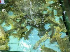 -渔民新村(番禺总店)