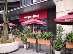 -哈根达斯(龙湖时代天街店)