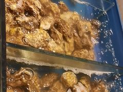 -火舞泰·泰式海鲜火锅餐厅(世纪城店)