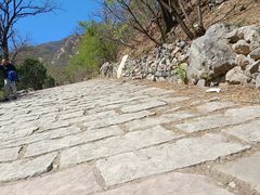-大岭沟猕猴桃谷风景区