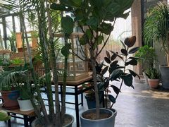-北马山庄植趣咖啡