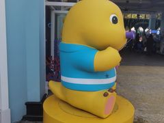 -海合安成都极地海洋公园