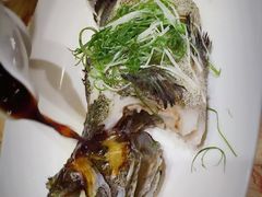 -半岛公馆(淞兴西路店)