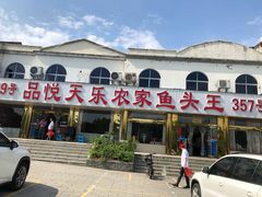 -天乐农家鱼头王(天目湖店)