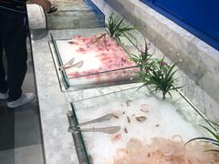 -火锅岛潮牌自助餐厅(天津天佑城店)