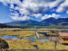 -腾冲北海湿地