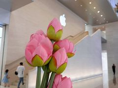 -金茂览秀城