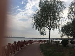 -丁香湖公园