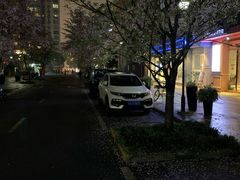 -Hi Fi Acoustic 梵香禅韵·色声香味