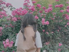 -秀丽东方