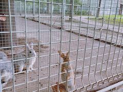 -歌斐颂巧克力小镇