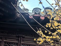 -水绘园