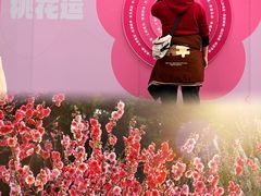 -桃花涧