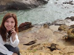 -摩拉基大圆石
