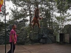 -石燕湖生态旅游景区