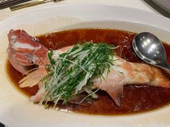 东星斑-皇朝会.经典传统粤菜(外滩店)