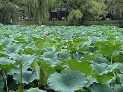 -承德避暑山庄景区