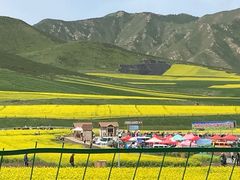 -扁都口生态休闲旅游区