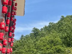 -栾川竹海野生动物园