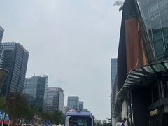 -合景·悠方(成都店)