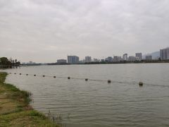 游乐设施-飞来湖湿地公园