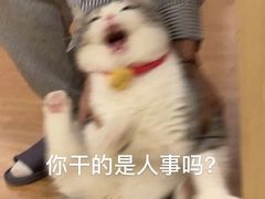 -江南古镇味道·私房菜