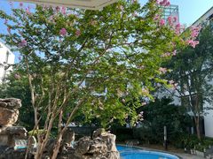 -苏州香山国际大酒店